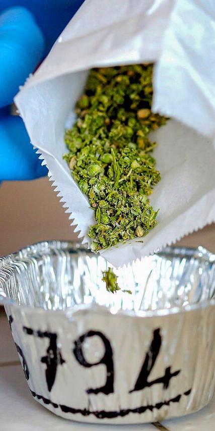 мега даркнет ссылка зеркало